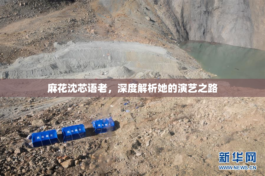 麻花沈芯语老，深度解析她的演艺之路