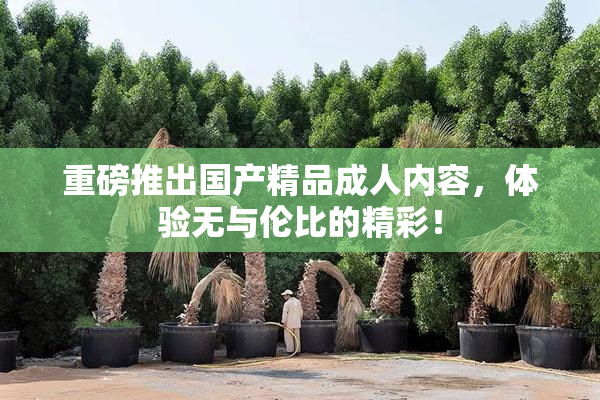 重磅推出国产精品成人内容，体验无与伦比的精彩！