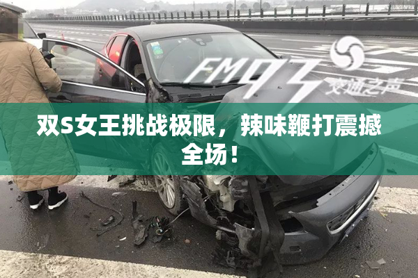 双S女王挑战极限，辣味鞭打震撼全场！