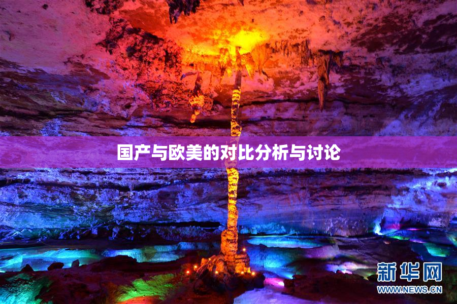 国产与欧美的对比分析与讨论