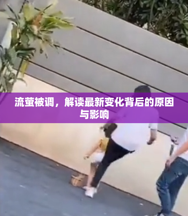 流萤被调，解读最新变化背后的原因与影响