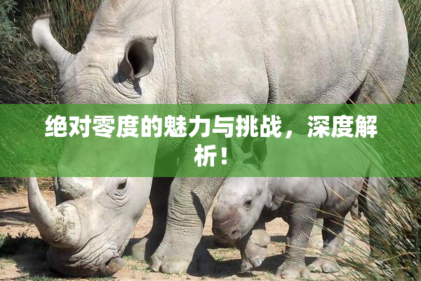 绝对零度的魅力与挑战，深度解析！
