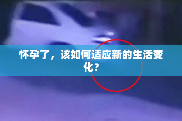 怀孕了，该如何适应新的生活变化？