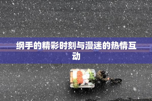 纲手的精彩时刻与漫迷的热情互动