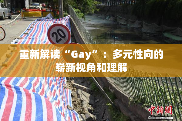 重新解读“Gay”：多元性向的崭新视角和理解