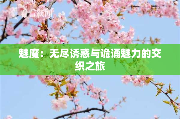 魅魔：无尽诱惑与诡谲魅力的交织之旅