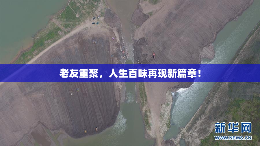 老友重聚，人生百味再现新篇章！