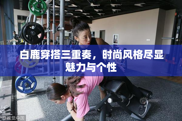白鹿穿搭三重奏，时尚风格尽显魅力与个性