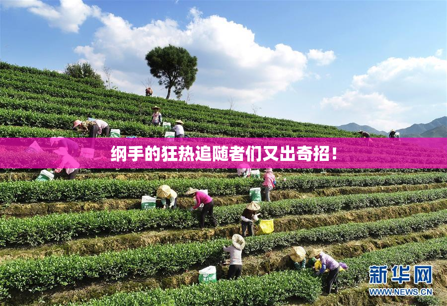 纲手的狂热追随者们又出奇招！