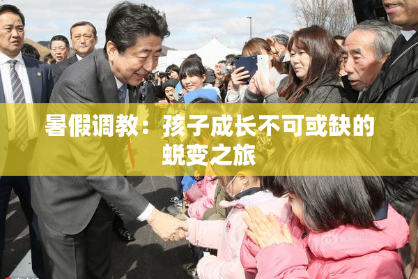 暑假调教：孩子成长不可或缺的蜕变之旅