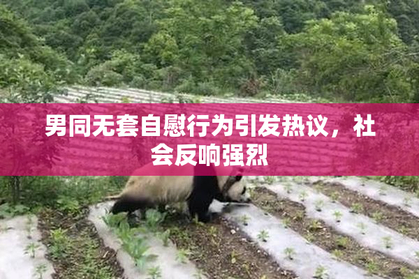 男同无套自慰行为引发热议，社会反响强烈