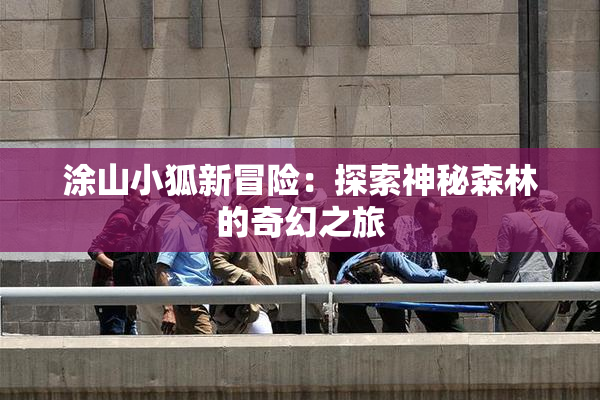 涂山小狐新冒险：探索神秘森林的奇幻之旅