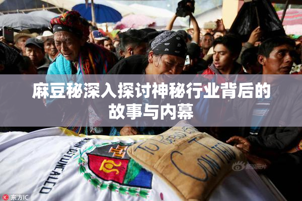 麻豆秘深入探讨神秘行业背后的故事与内幕