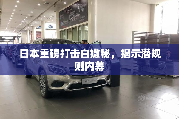 日本重磅打击白嫩秘，揭示潜规则内幕