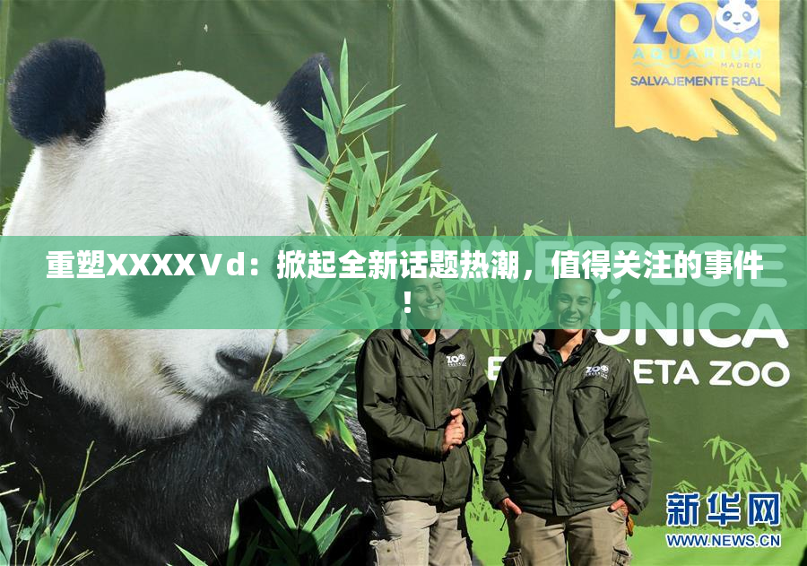 重塑XXXXⅤd：掀起全新话题热潮，值得关注的事件！