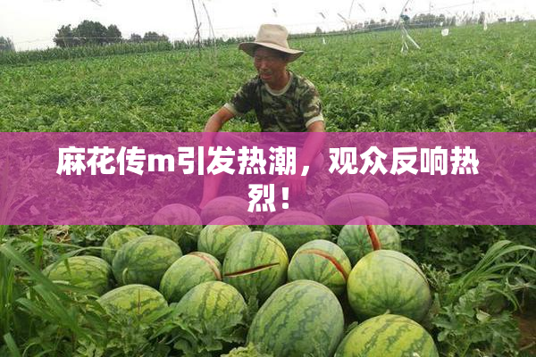 麻花传m引发热潮，观众反响热烈！