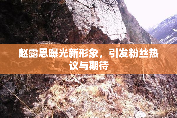 赵露思曝光新形象，引发粉丝热议与期待