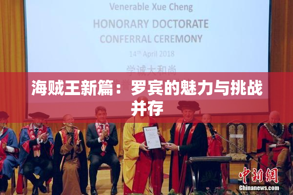 海贼王新篇：罗宾的魅力与挑战并存