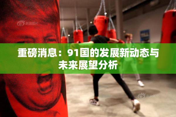重磅消息：91国的发展新动态与未来展望分析