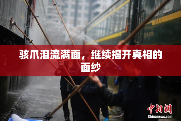骇爪泪流满面，继续揭开真相的面纱