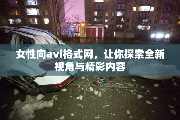 女性向avi格式网，让你探索全新视角与精彩内容