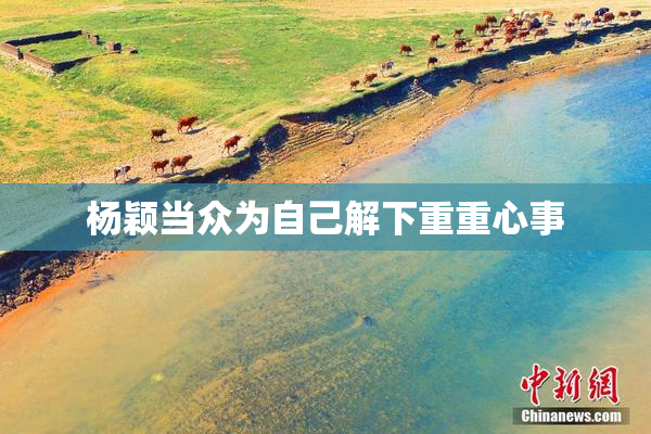 杨颖当众为自己解下重重心事