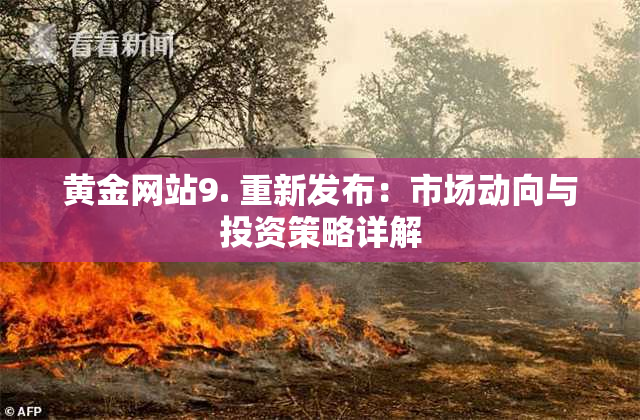 黄金网站9. 重新发布：市场动向与投资策略详解