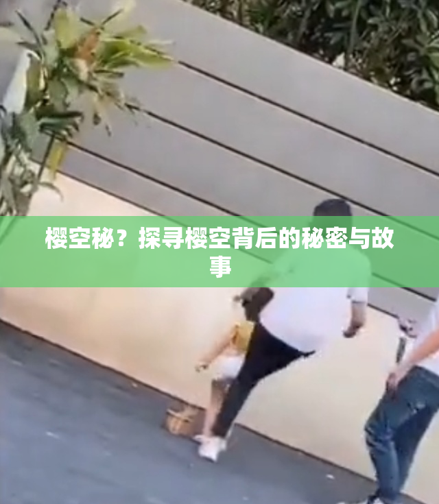 樱空秘？探寻樱空背后的秘密与故事