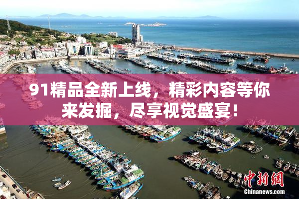 91精品全新上线，精彩内容等你来发掘，尽享视觉盛宴！
