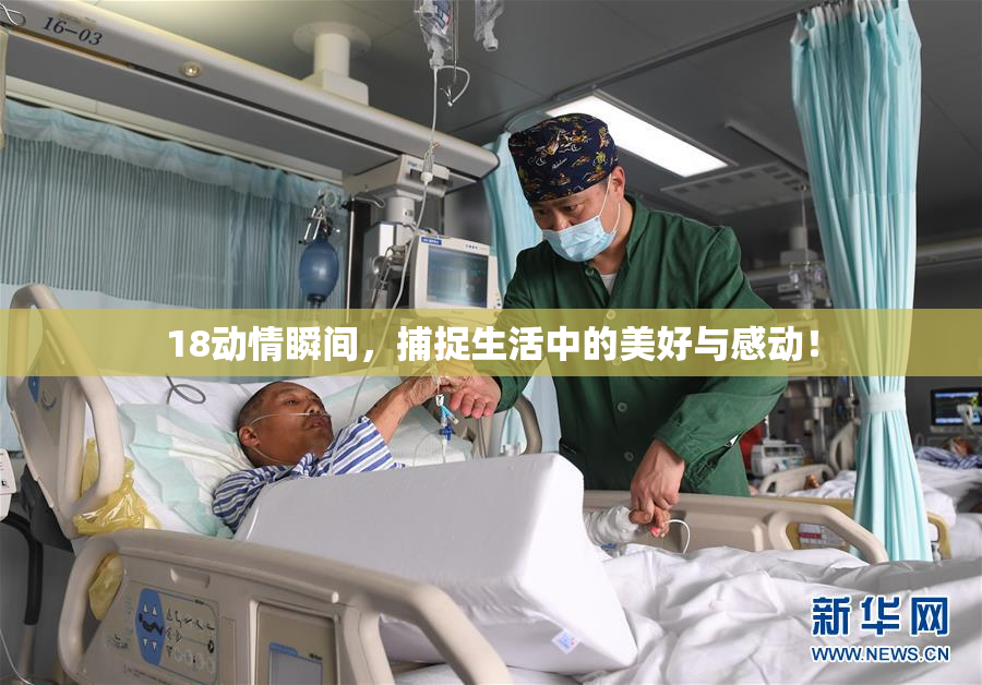 18动情瞬间，捕捉生活中的美好与感动！