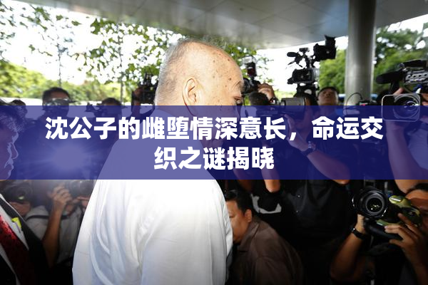 沈公子的雌堕情深意长，命运交织之谜揭晓