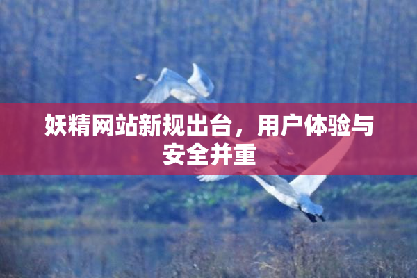 妖精网站新规出台，用户体验与安全并重
