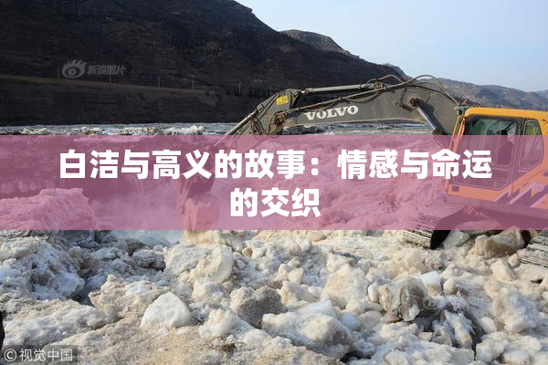 白洁与高义的故事：情感与命运的交织