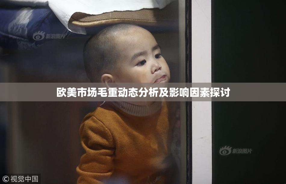 欧美市场毛重动态分析及影响因素探讨