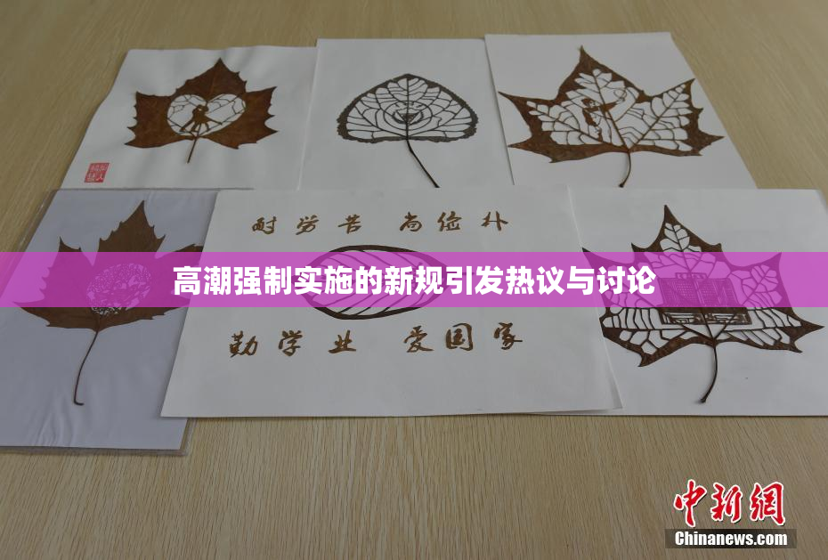 高潮强制实施的新规引发热议与讨论