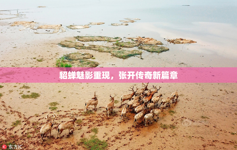貂蝉魅影重现，张开传奇新篇章