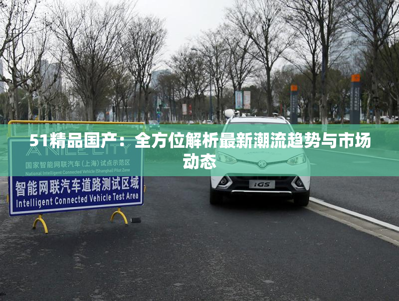 51精品国产：全方位解析最新潮流趋势与市场动态