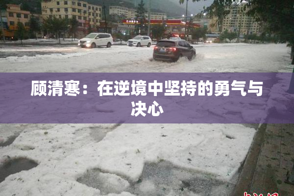 顾清寒：在逆境中坚持的勇气与决心