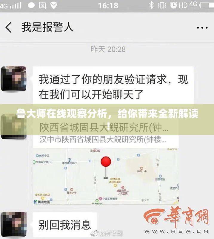 鲁大师在线观察分析，给你带来全新解读！