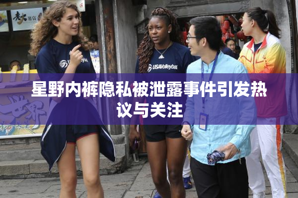 星野内裤隐私被泄露事件引发热议与关注