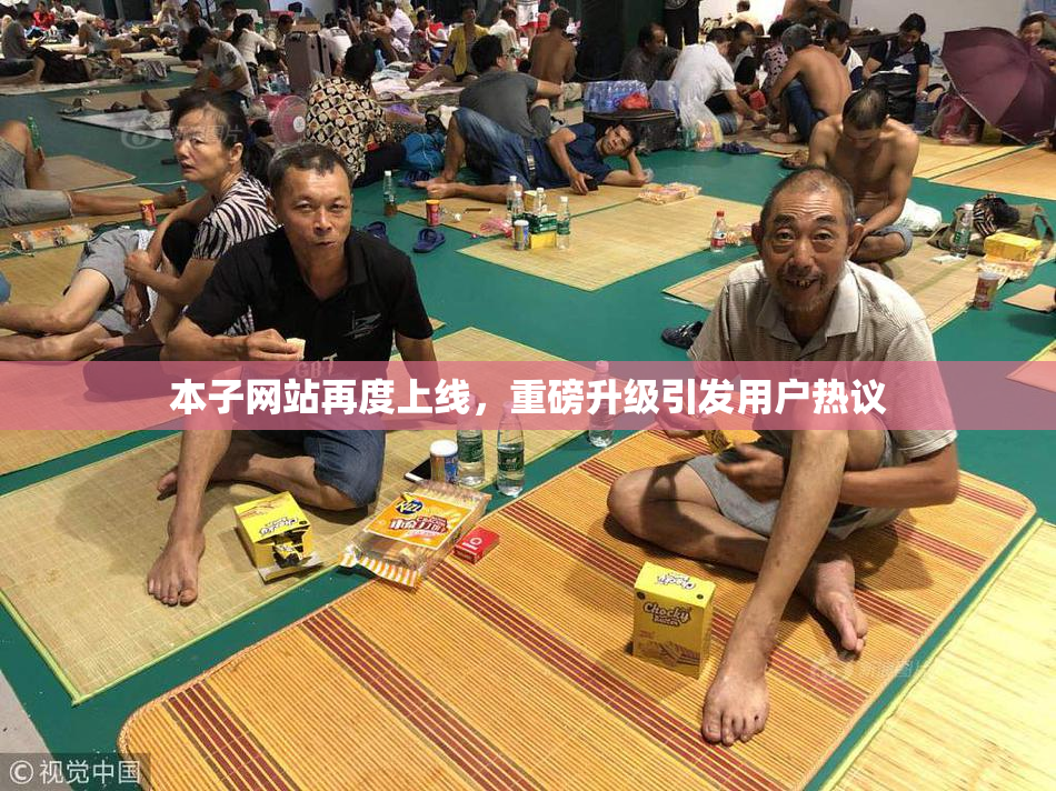 本子网站再度上线，重磅升级引发用户热议