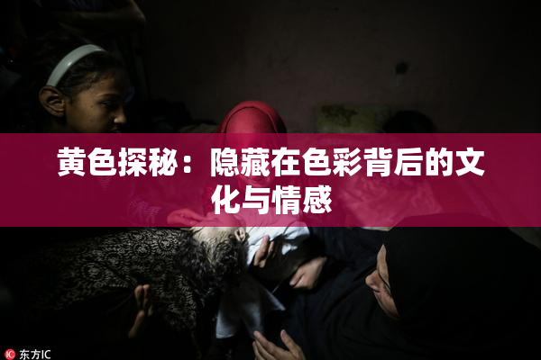 黄色探秘：隐藏在色彩背后的文化与情感