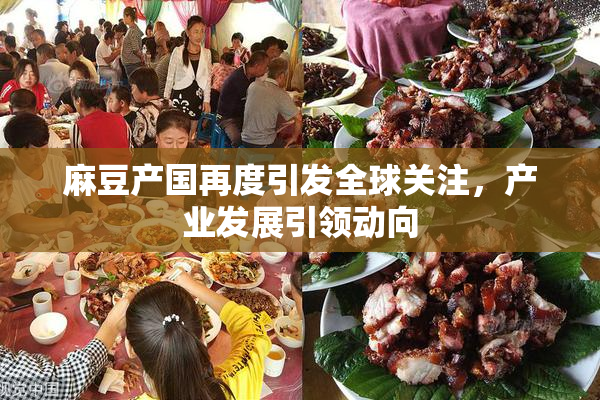麻豆产国再度引发全球关注，产业发展引领动向