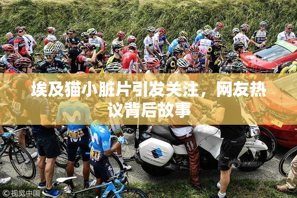 埃及猫小脏片引发关注，网友热议背后故事