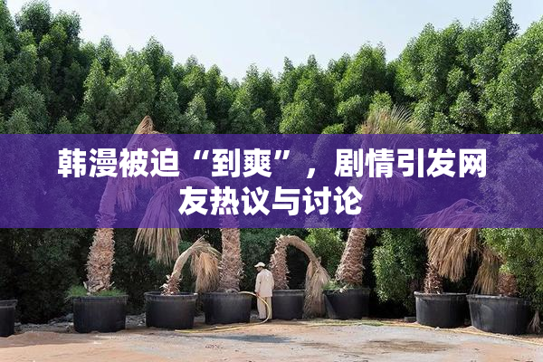 韩漫被迫“到爽”，剧情引发网友热议与讨论