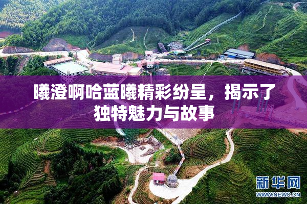 曦澄啊哈蓝曦精彩纷呈，揭示了独特魅力与故事