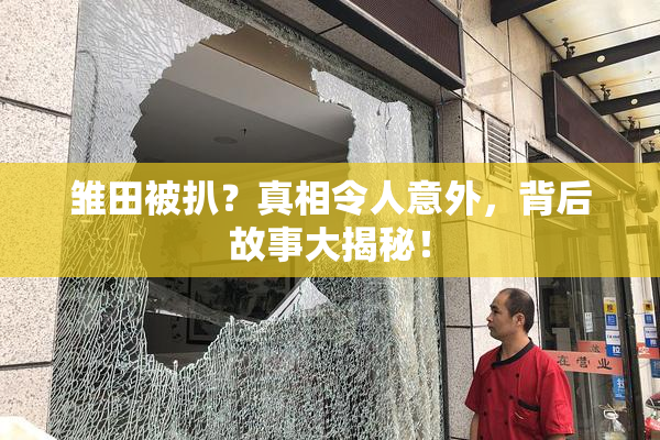 雏田被扒？真相令人意外，背后故事大揭秘！