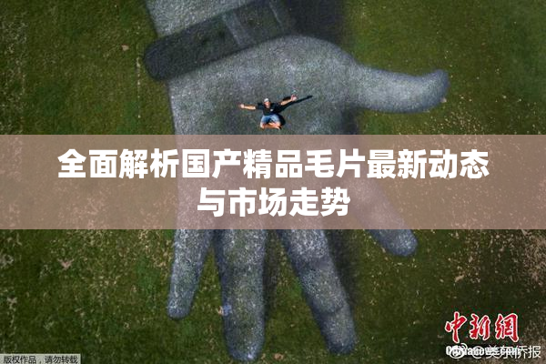 全面解析国产精品毛片最新动态与市场走势