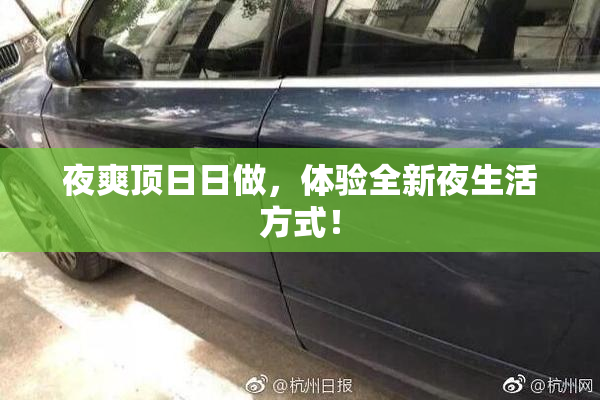 夜爽顶日日做，体验全新夜生活方式！