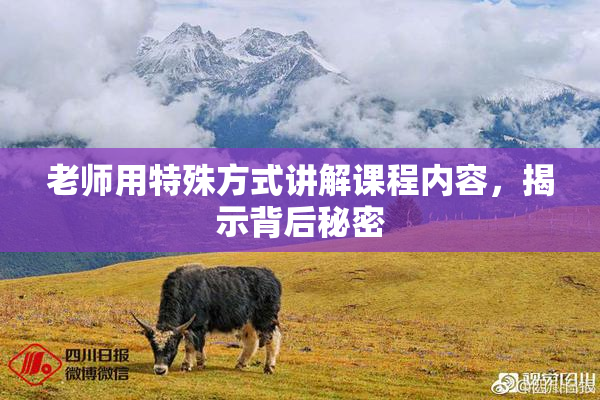 老师用特殊方式讲解课程内容，揭示背后秘密